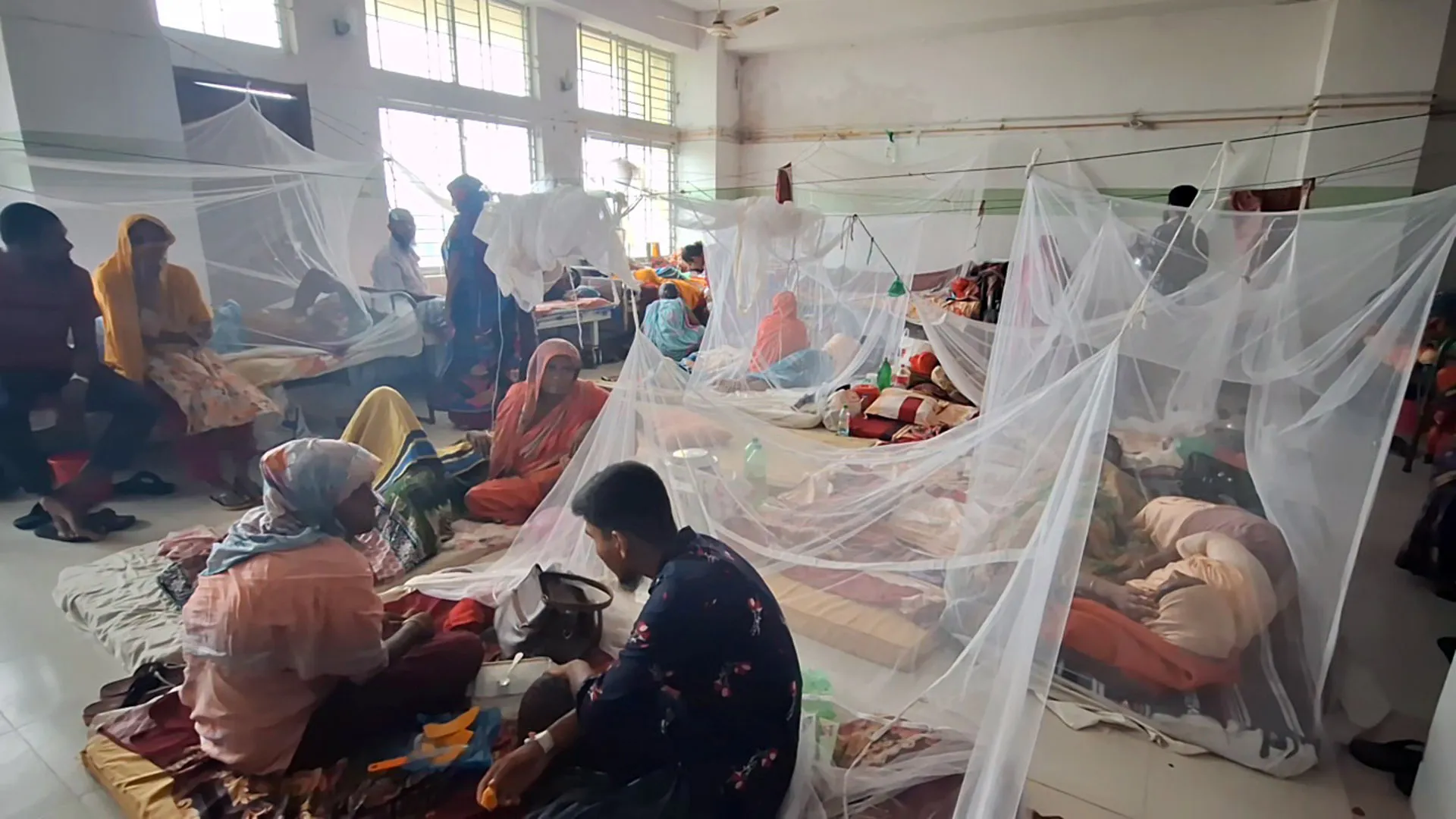 বরগুনায় ডায়াগনস্টিক সেন্টারের ভুল রিপোর্ট, ডেঙ্গুর চিকিৎসা দিতে বিপাকে চিকিৎসকরা